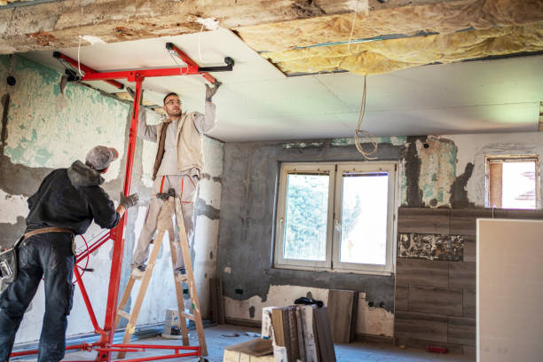 Best Commercial Insulation in Augusta, KY